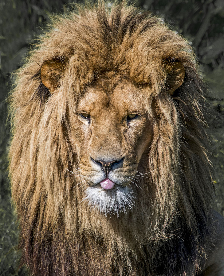 Forgotten to put something away